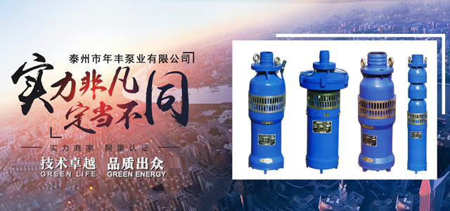 泰州市年丰泵业有限公司