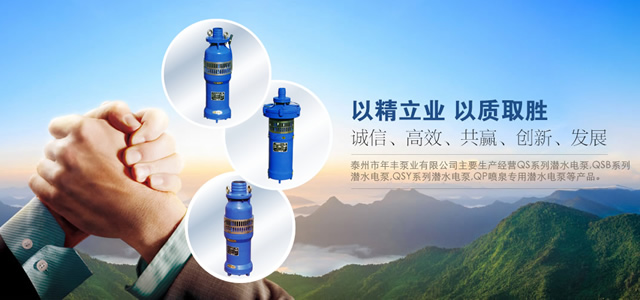 泰州市年丰泵业有限公司